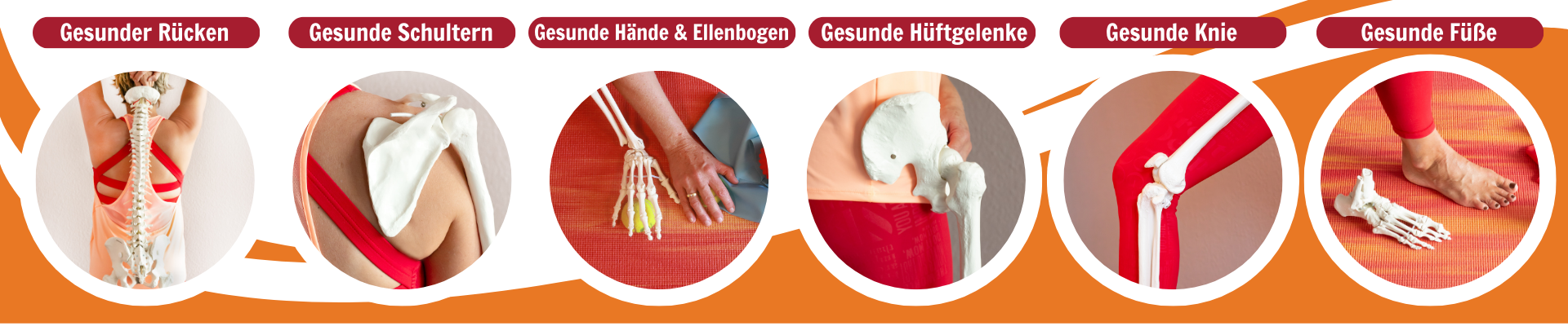 1fach Yoga | 1fach Gesund - Spiraldynamik Workshops - Banner alle Workshops