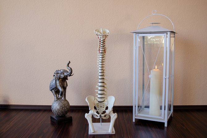 1fach Yoga | 1fach Gesund - Dekoelemente im Yoga Studio - Elefant, Skelett und Kerze